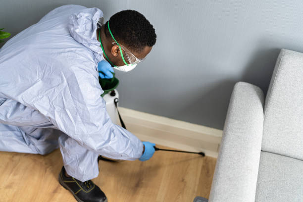 Best Pest Control for Hotels  in Zephyrhills North, FL